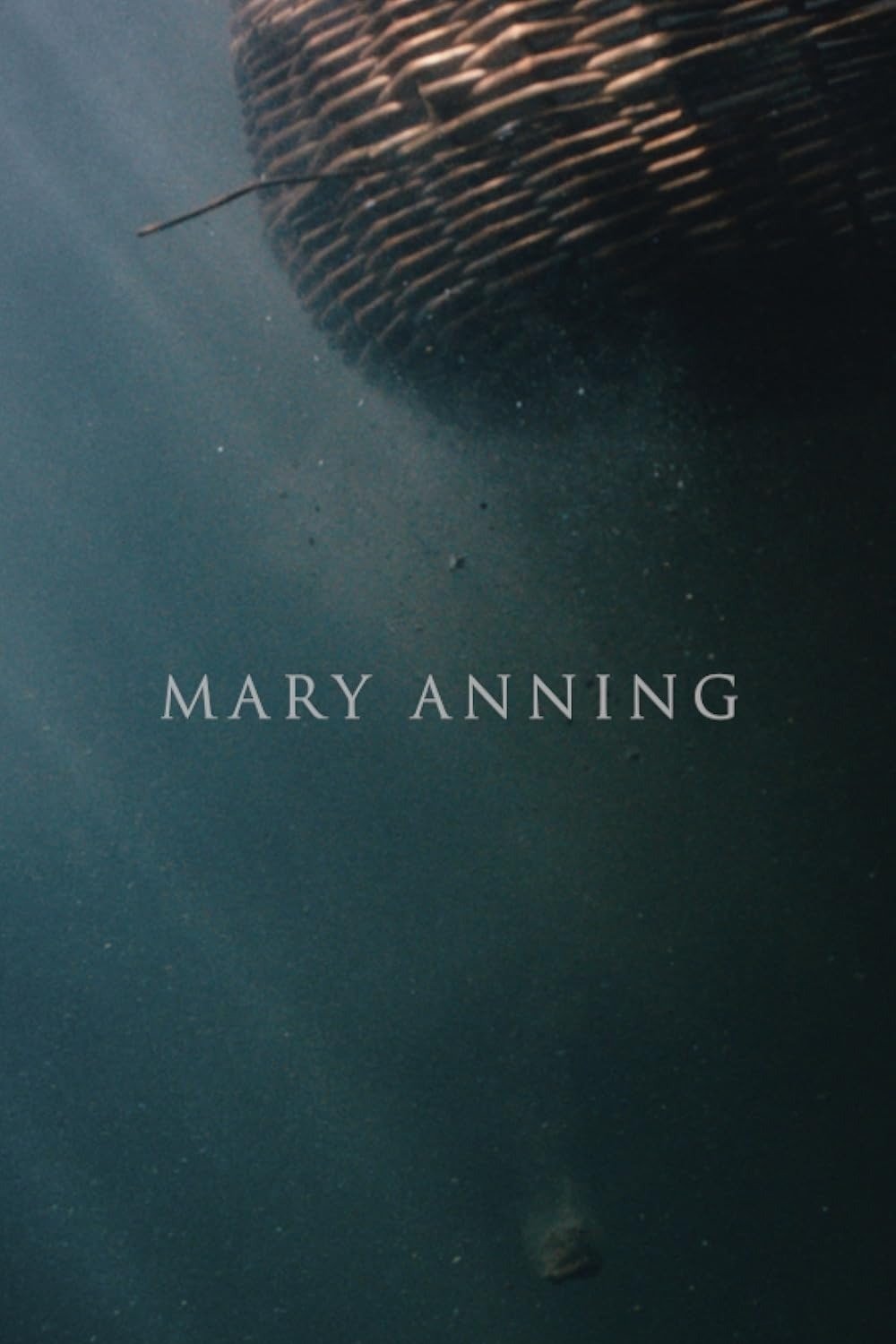 Постер Mary Anning